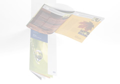RCS brochure